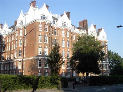 Picture 8